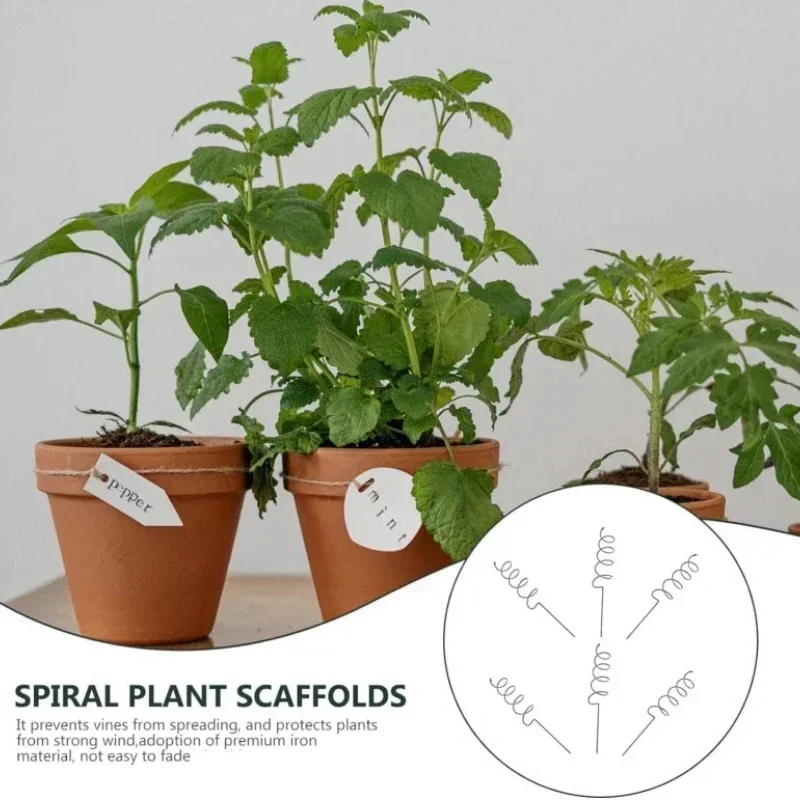 Bonsai Garden Plants - Support de plantes grimpantes, piquets en