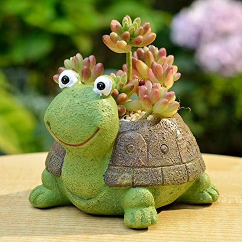 Bonsai Garden For Desk - User inière de tortue bonsaï succulente,