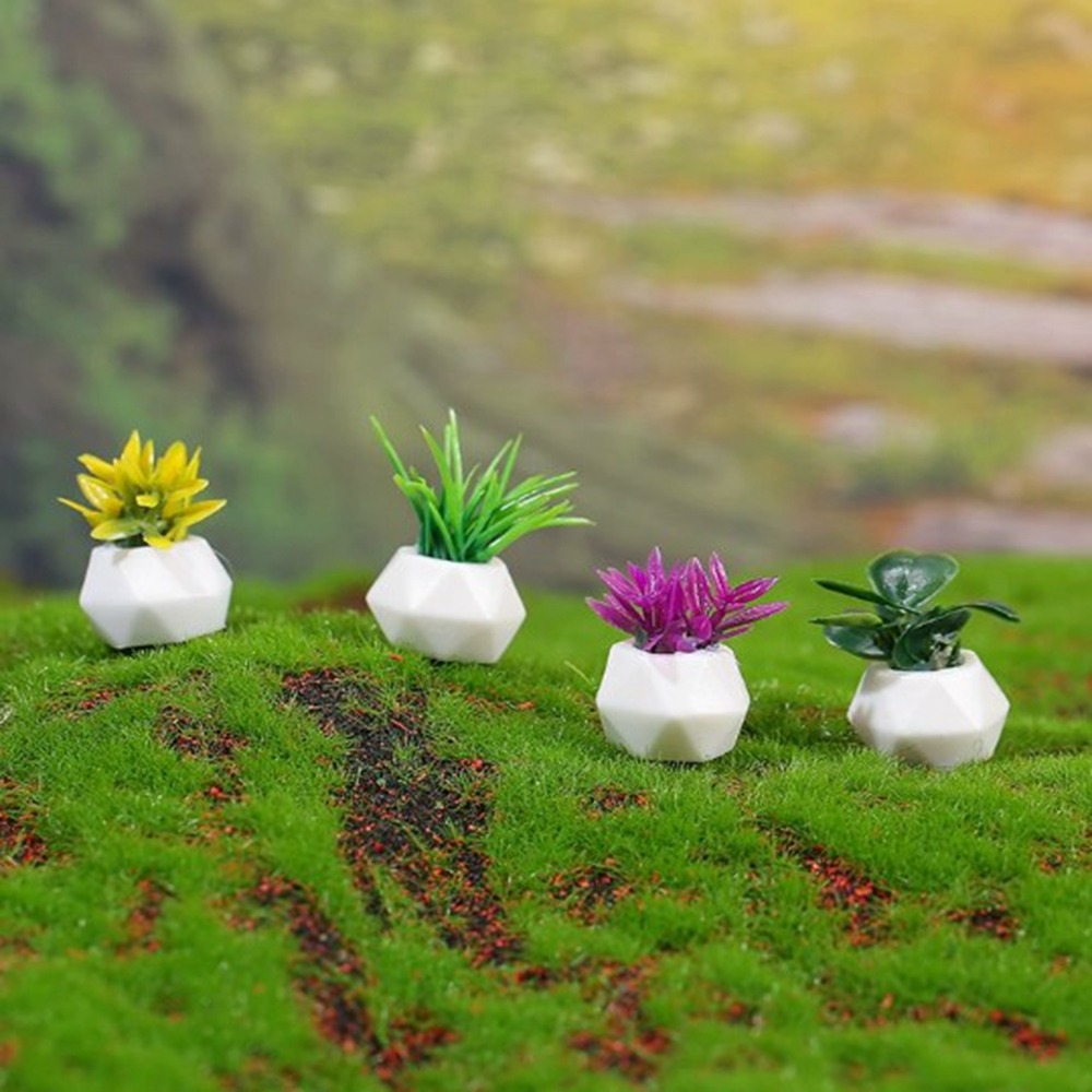 Bonsai Garden Plants - Plante Miniature en Pot pour maison