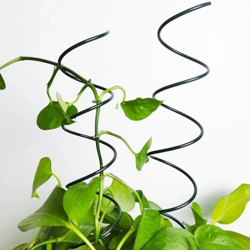Support de plantes grimpantes, - Bonsai Garden Plants avis et prix