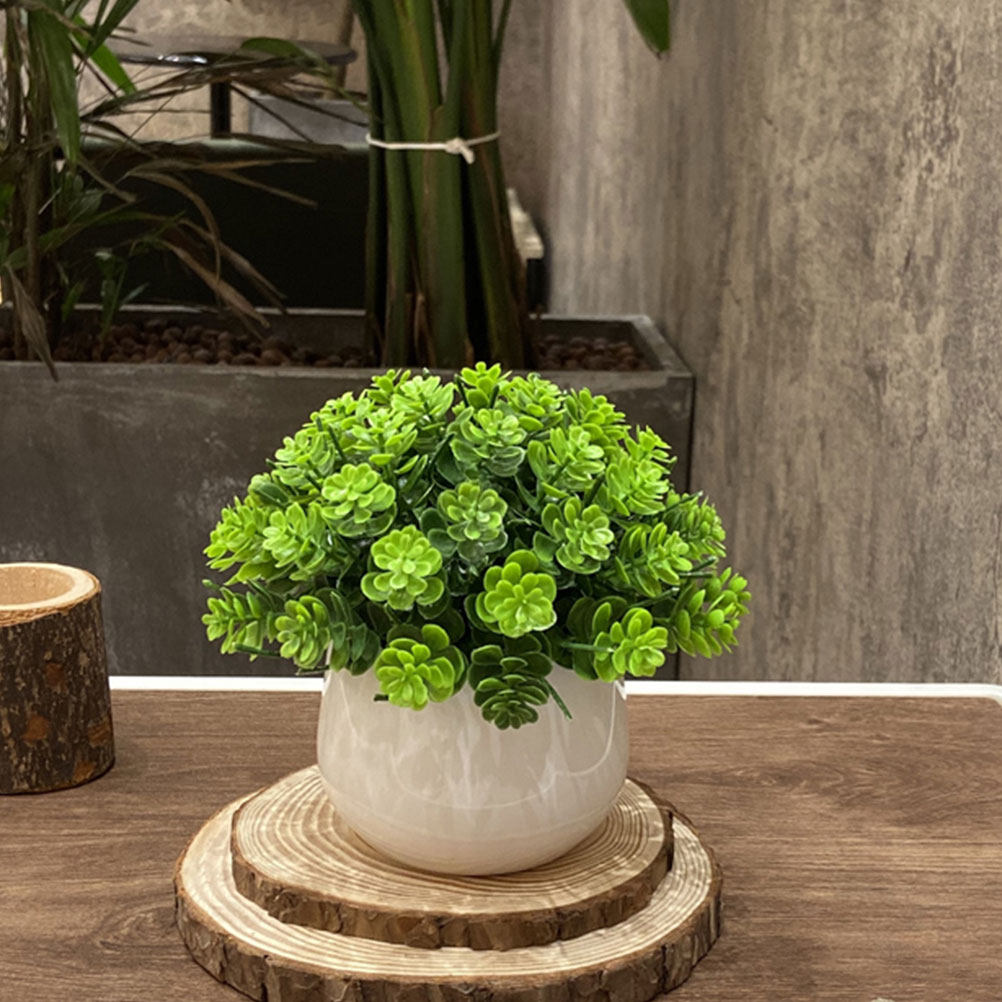 Bonsaï artificiel réaliste en  - Bonsai Garden And Cafe avis et prix
