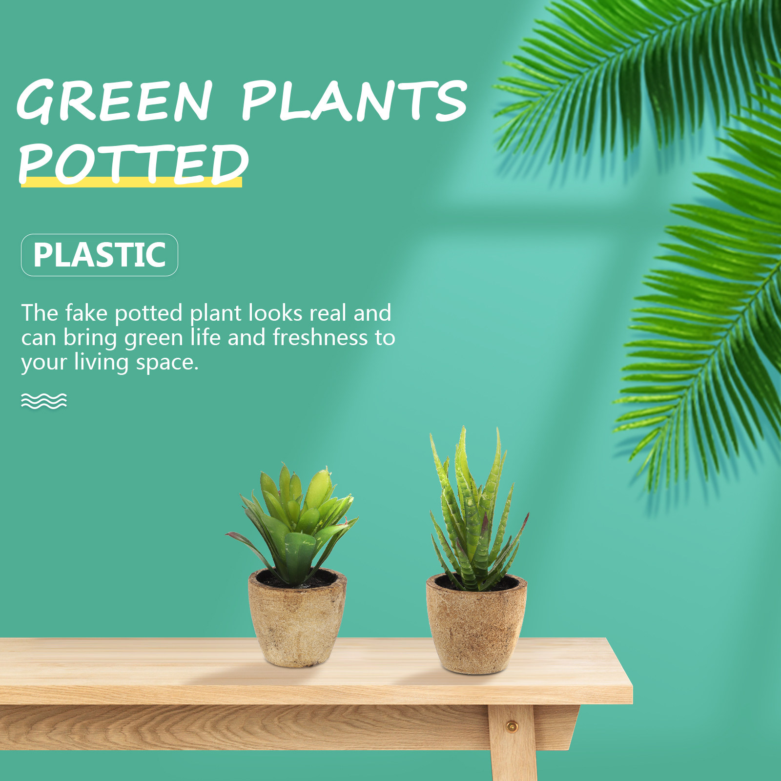 4 Pièces de Plantes Succulente - Bonsai Garden And Cafe avis et prix