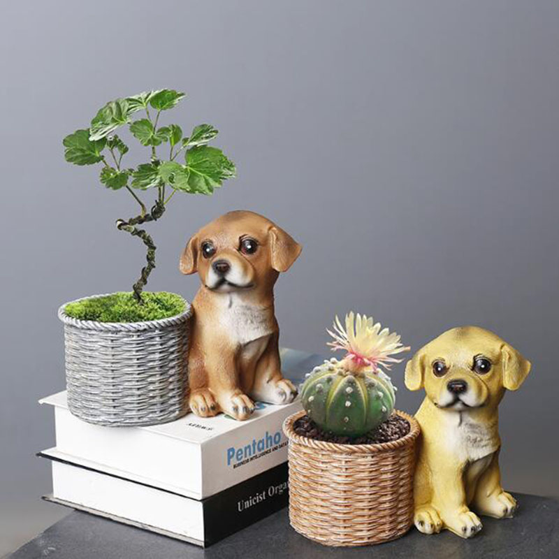 Vase à bonsaï en résine pour s - Bonsai Garden Art avis et prix