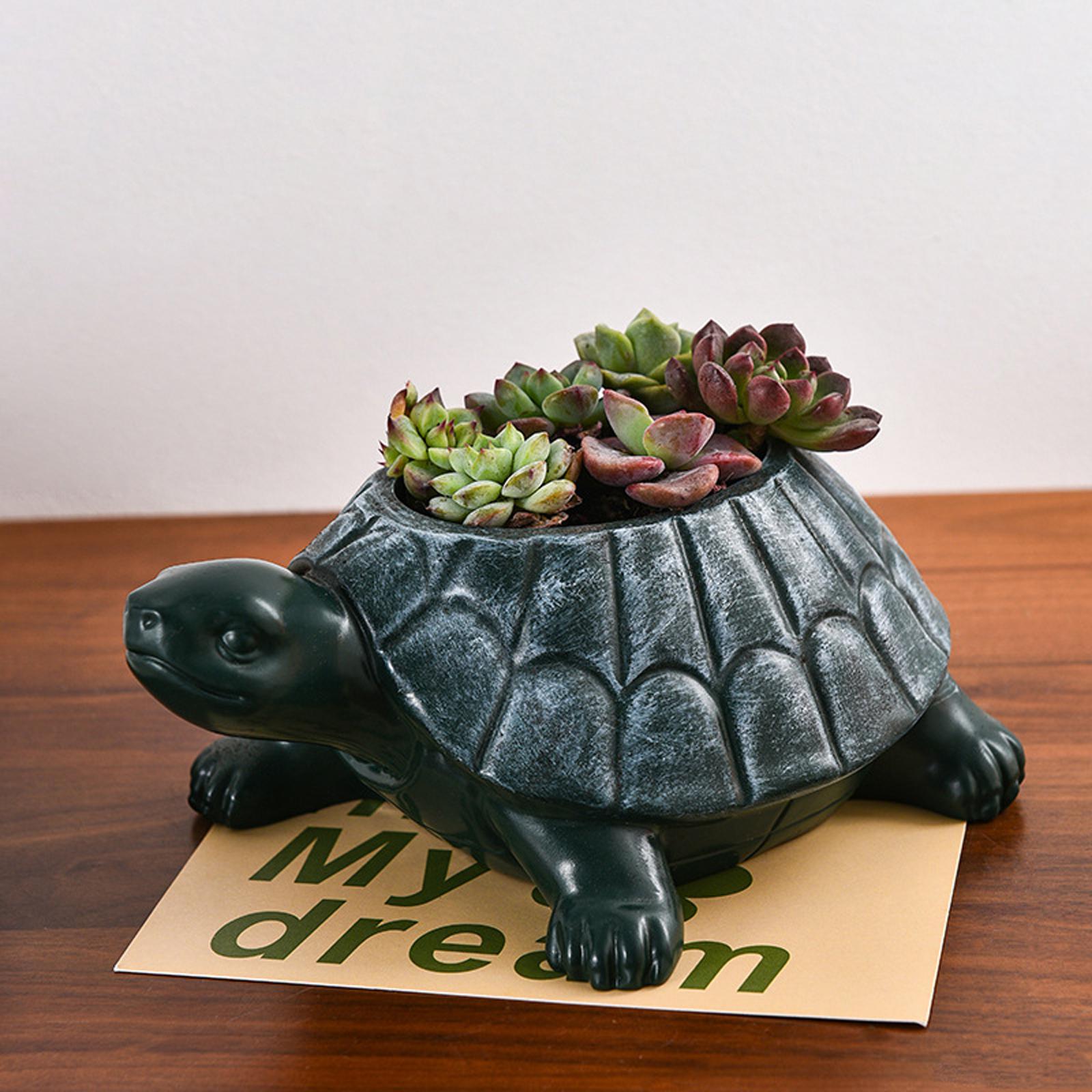 Pot de fleurs tortue, ornement - Bonsai Garden And Cafe avis et prix