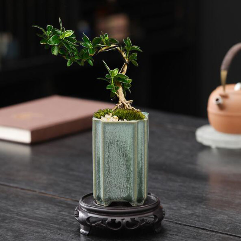 Pot de fleurs carré en porcela - Bonsai Garden Art avis et prix