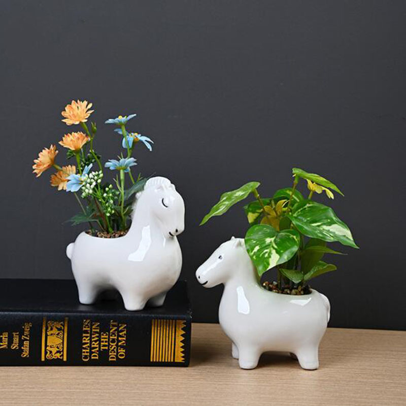 Pot de fleurs créatif en porce - Bonsai Garden Art avis et prix