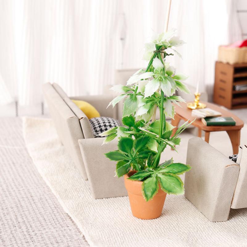 Simulation de plantes vertes p - Bonsai Garden Plants avis et prix