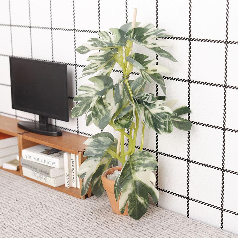 Simulation de plantes vertes p - Bonsai Garden Plants avis et prix