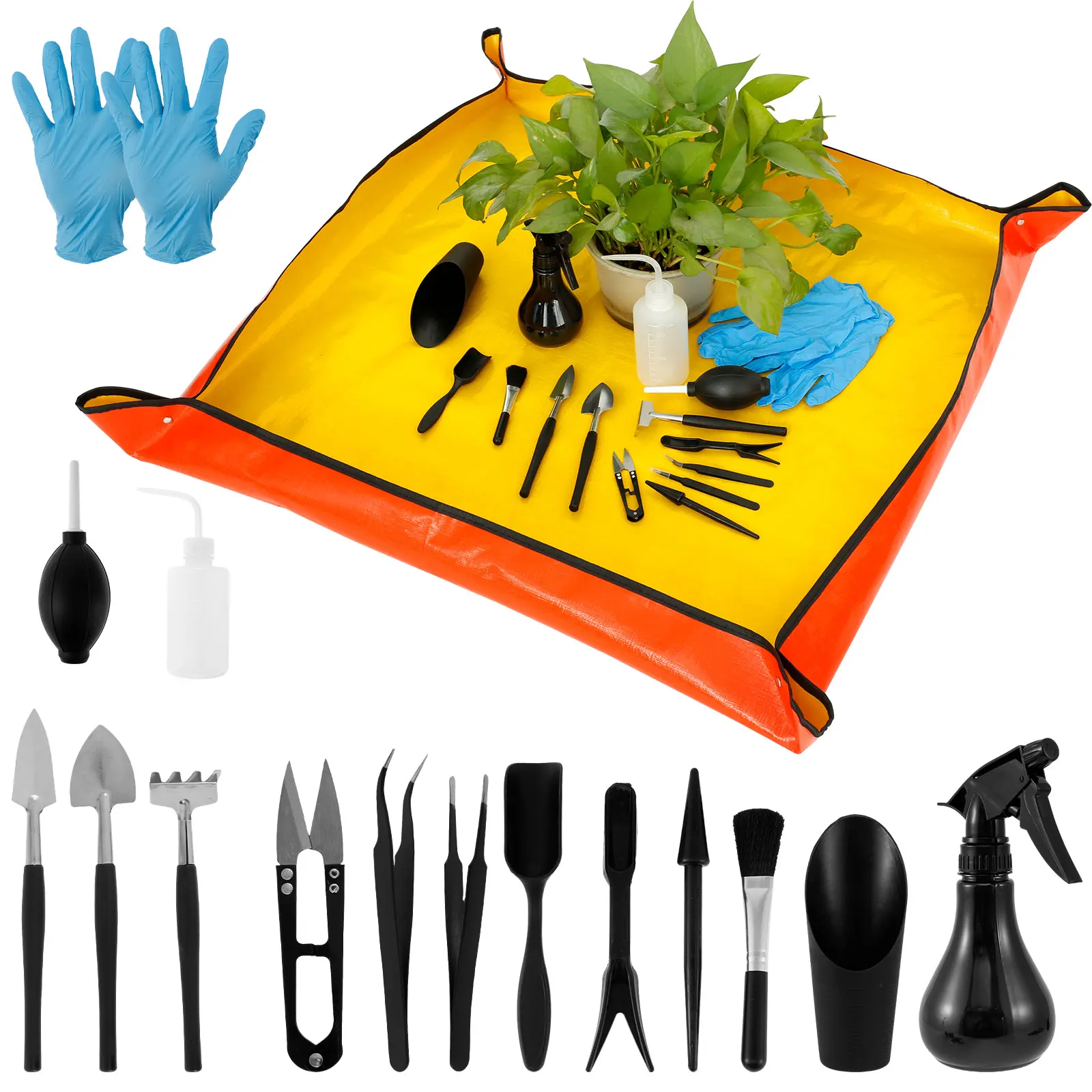 Kit de Mini planteur pour plan - Bonsai Garden Plants avis et prix