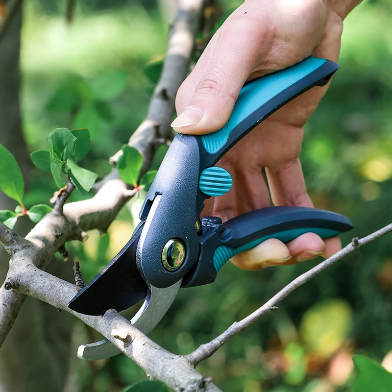 Sécateurs pour arbres fruitier - Bonsai Garden Usa avis et prix