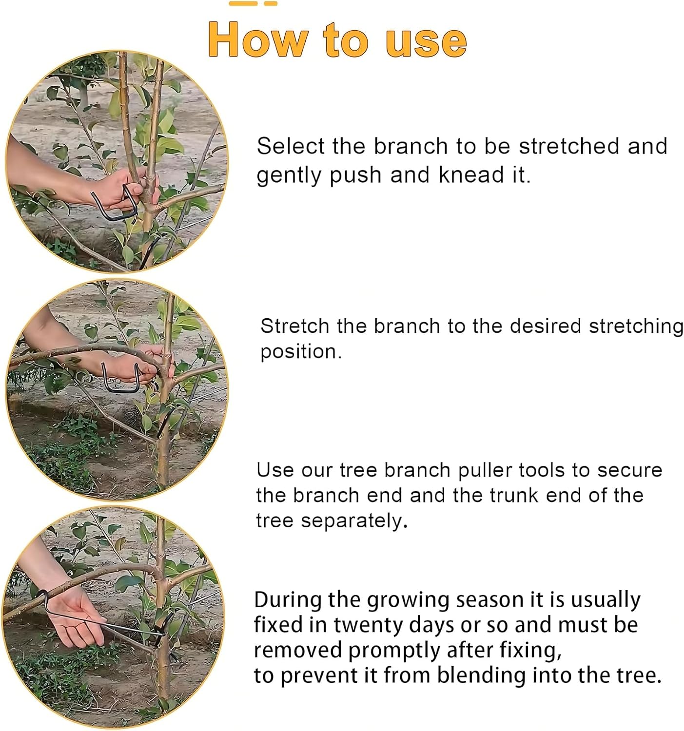 Ajusteur de branches d'arbres  - Bonsai Garden Plants avis et prix