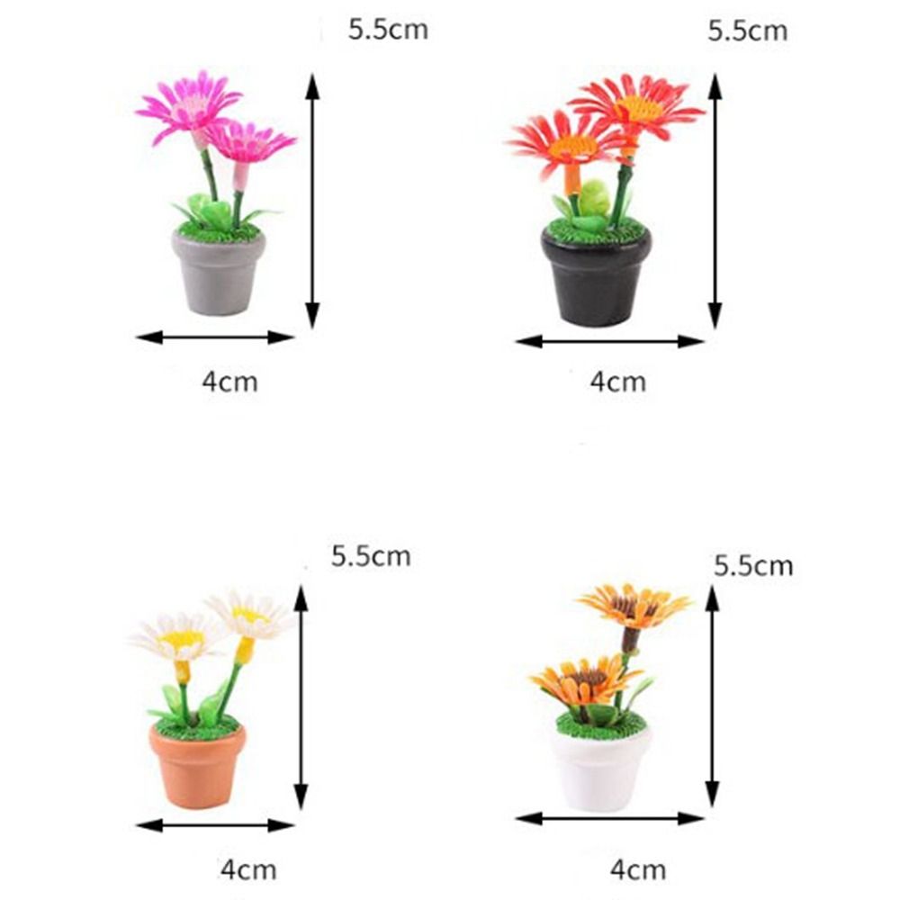 Plante Miniature en Pot pour m - Bonsai Garden Plants avis et prix