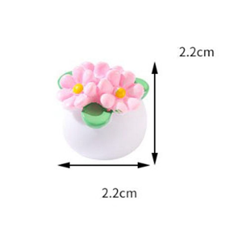 Plante Miniature en Pot pour m - Bonsai Garden Plants avis et prix