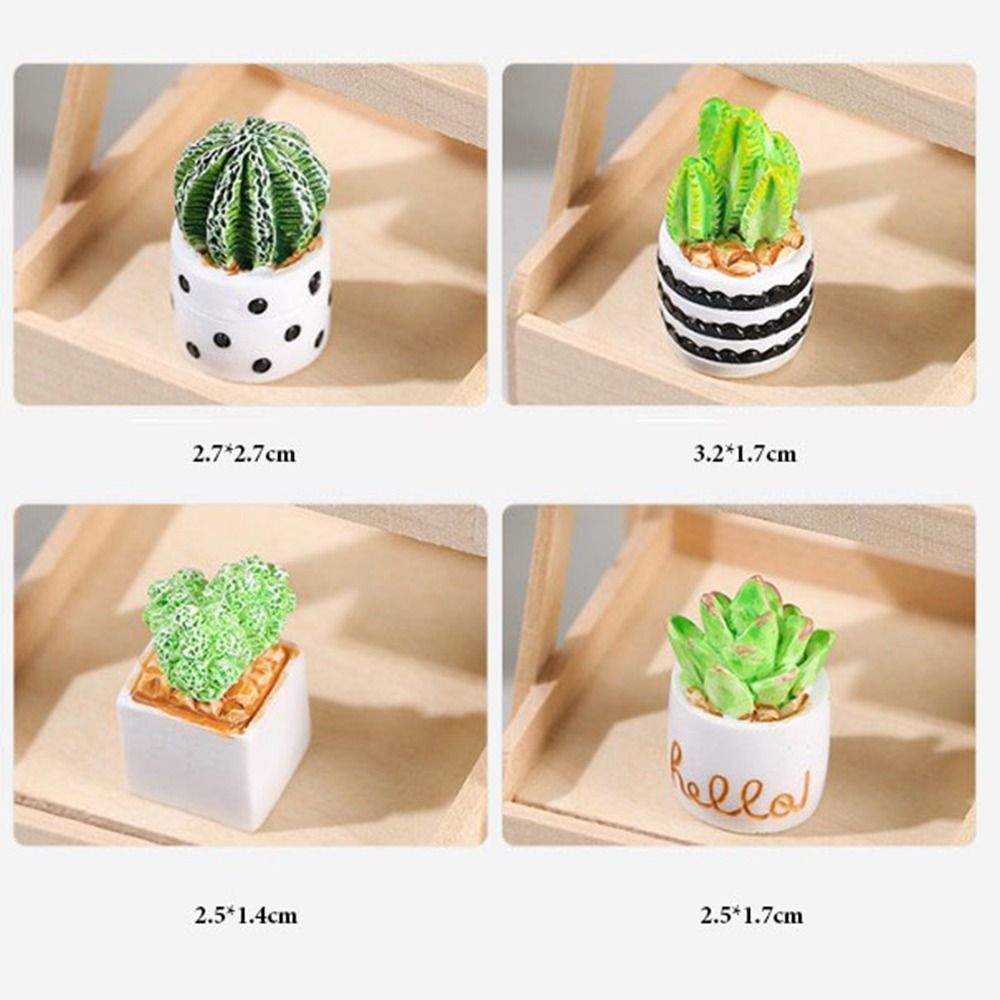 Plante Miniature en Pot pour m - Bonsai Garden Plants avis et prix
