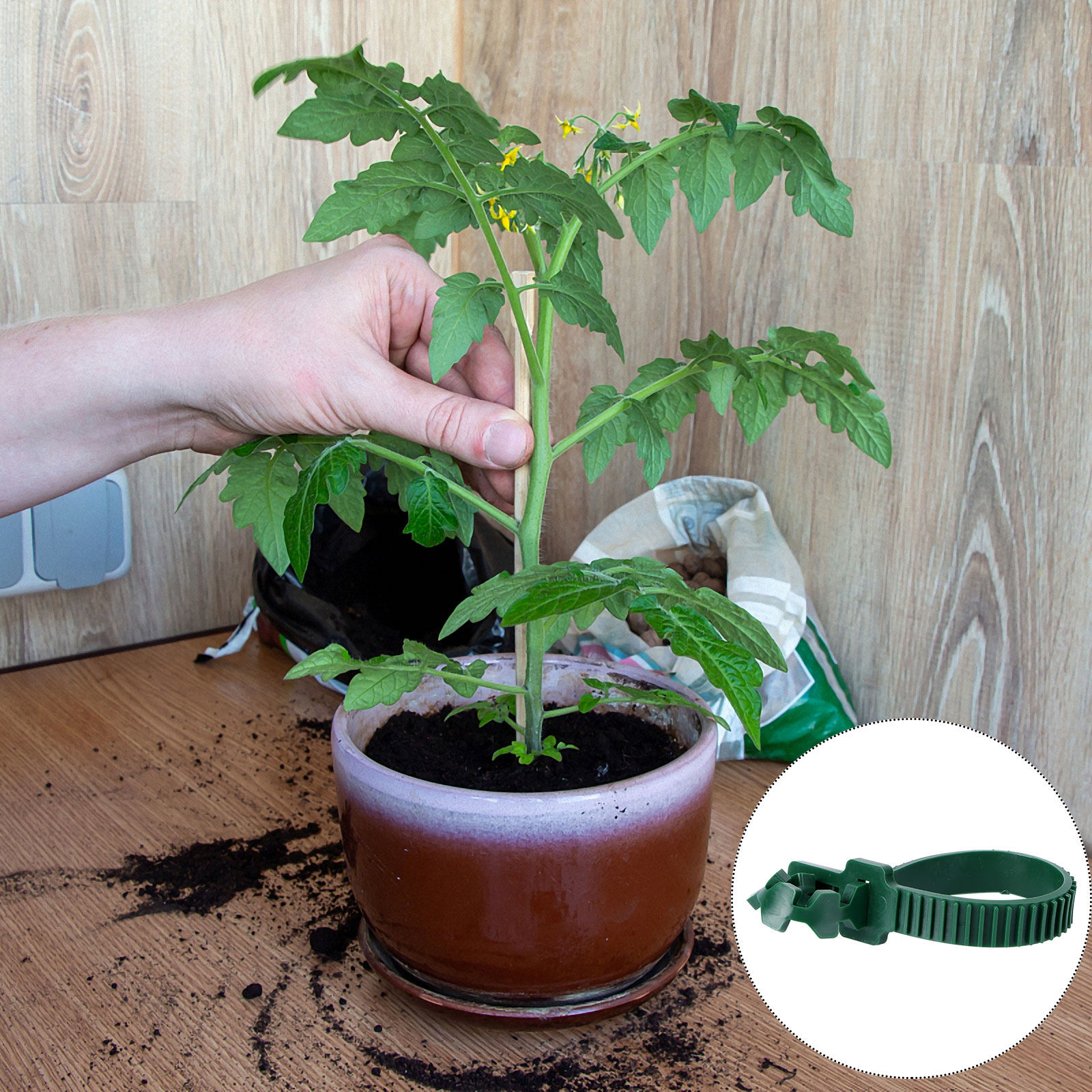 20 pièces de boucles de fixati - Bonsai Garden Plants avis et prix