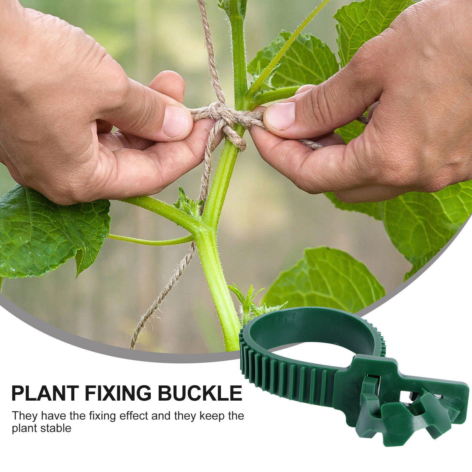20 pièces de boucles de fixati - Bonsai Garden Plants avis et prix