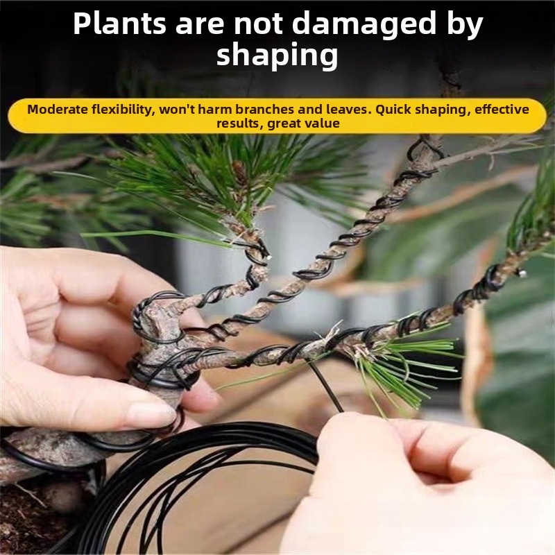Fils de bonsaï en aluminium de - Bonsai Garden Plants avis et prix