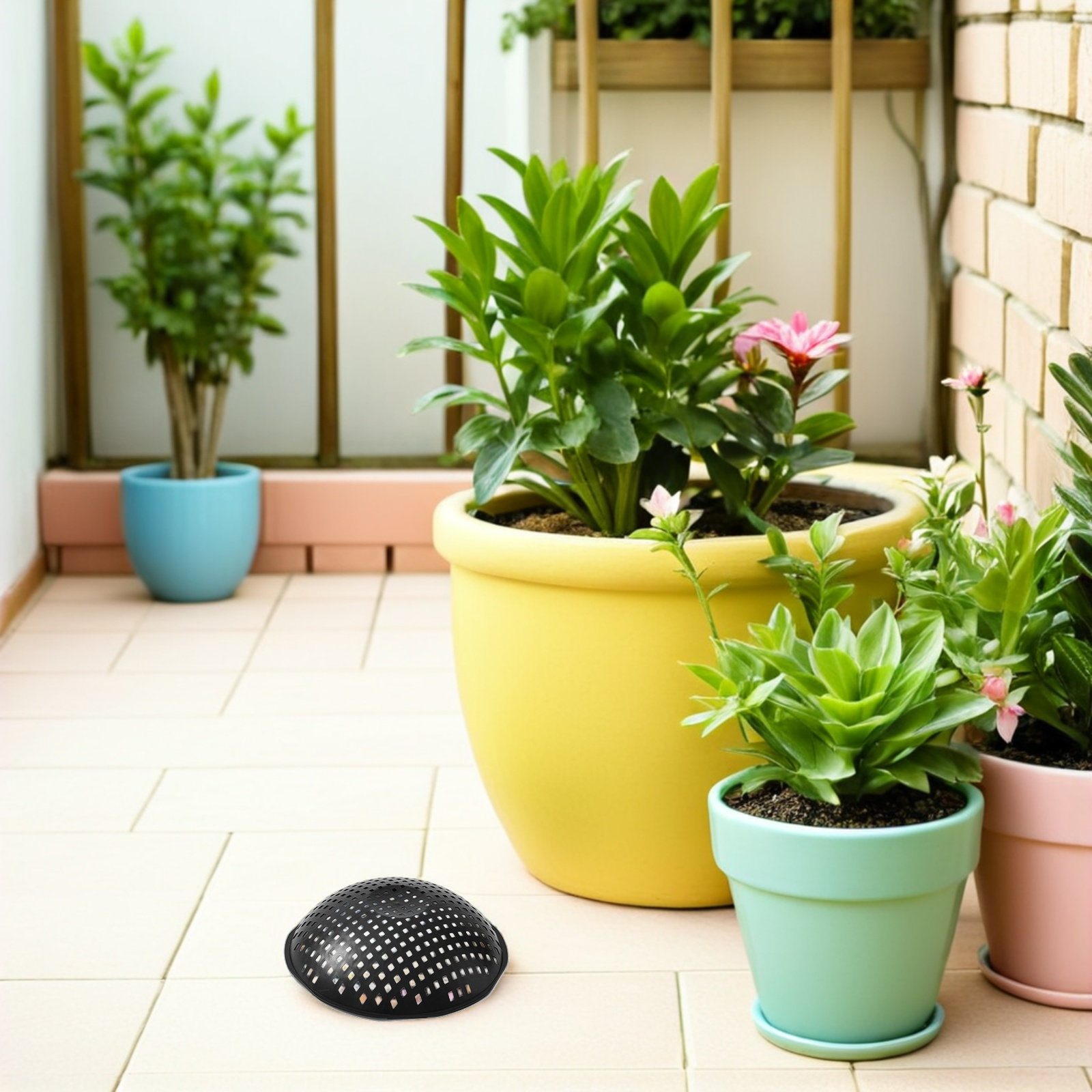 10 pièces de tamis en maille p - Bonsai Garden And Cafe avis et prix