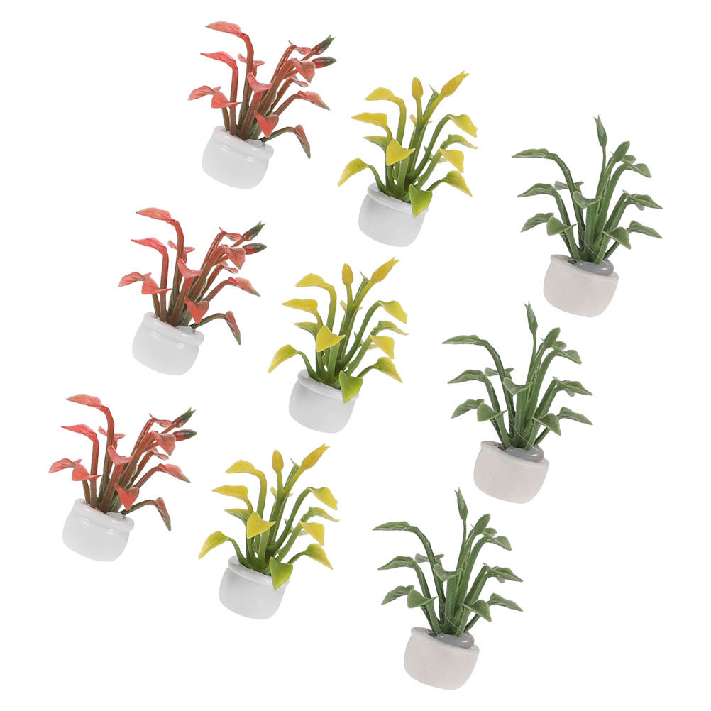 9 Pièces de Plantes Miniatures - Bonsai Garden For Desk avis et prix