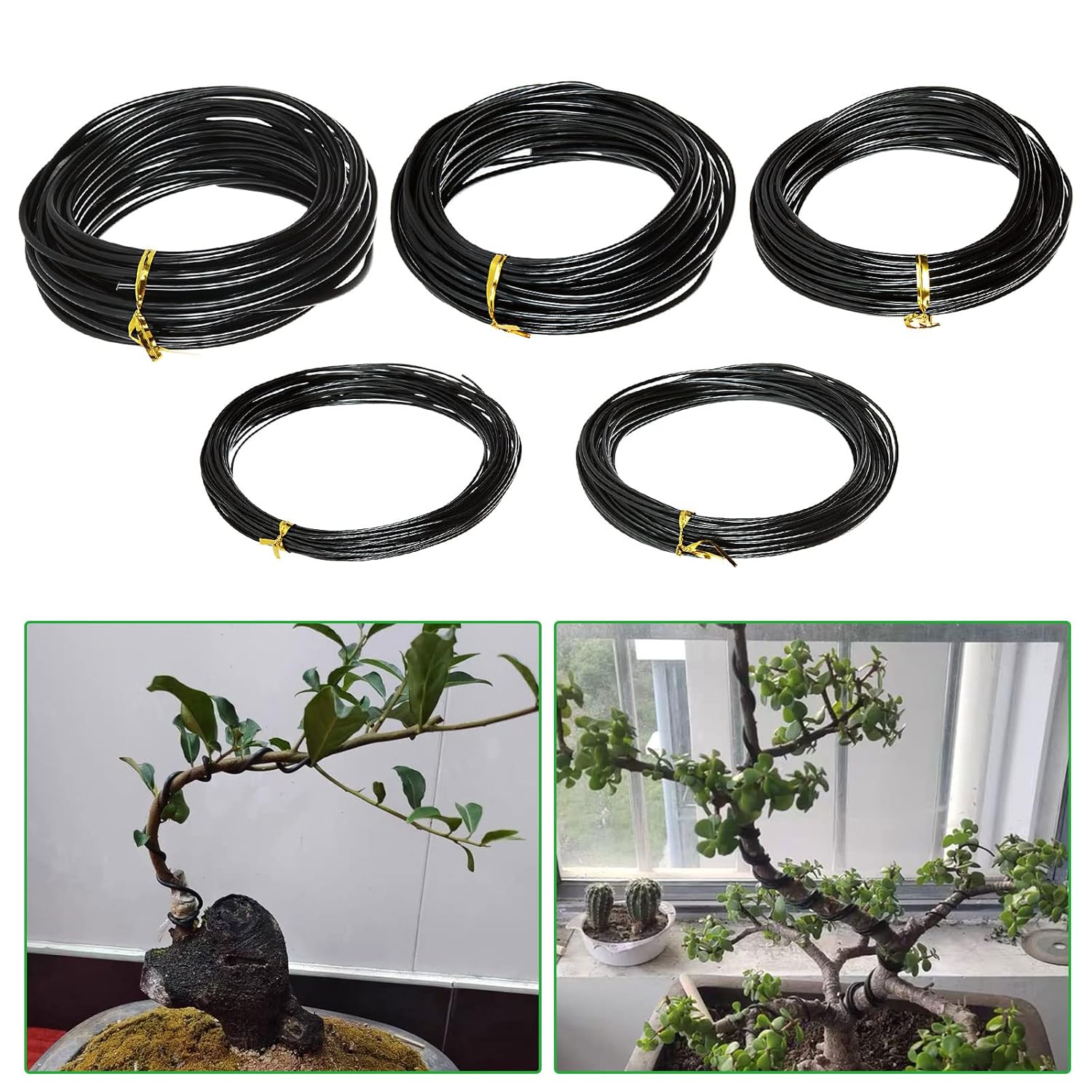 Fil de Soutien pour Bonsaï en  - Bonsai Garden Plants avis et prix