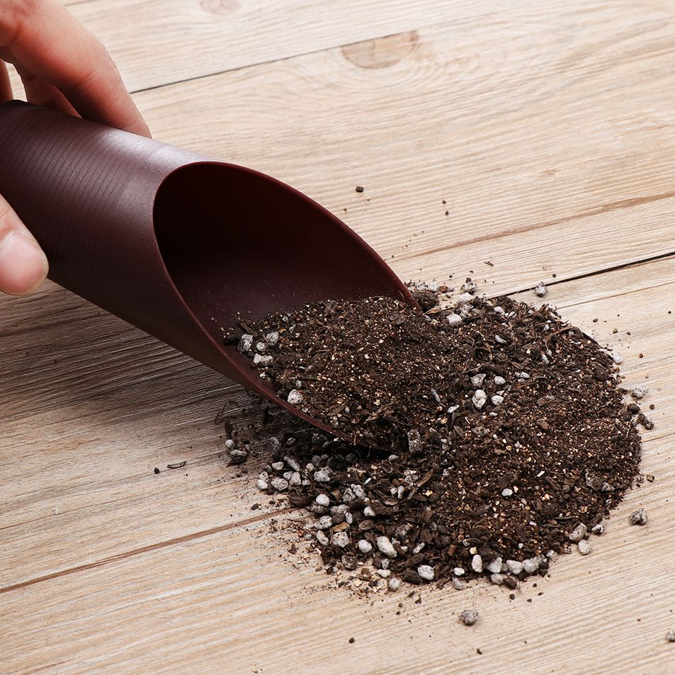 Tasse de pelle à sol en plasti - Bonsai Garden Plants avis et prix